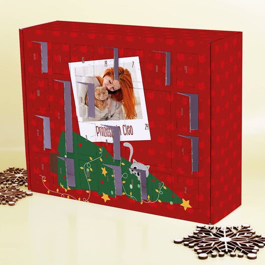 Adventskalender für Katzen zum selbst Füllen