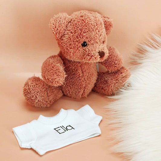 Teddybär mit bedrucktem T-Shirt mit Name
