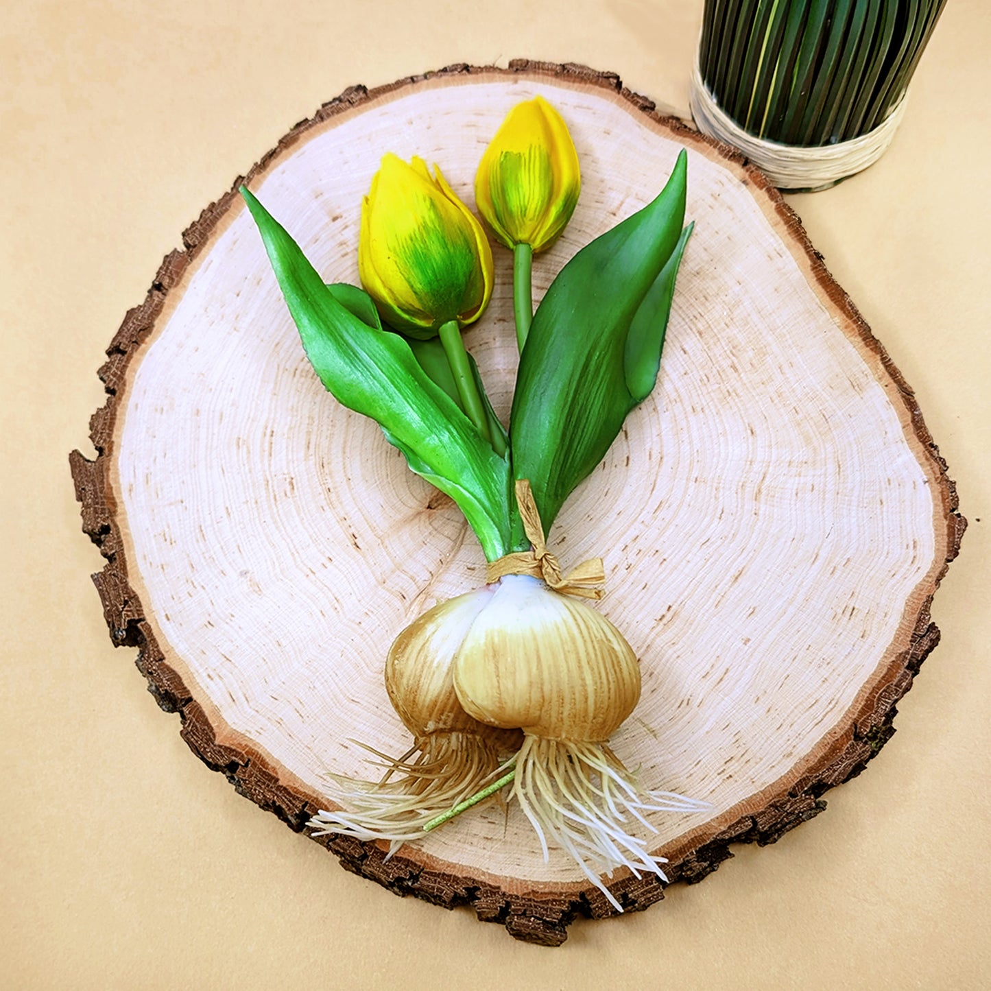 Tulpenbund mit roten Blüten und Zwiebeln auf einer Baumscheibe liegend