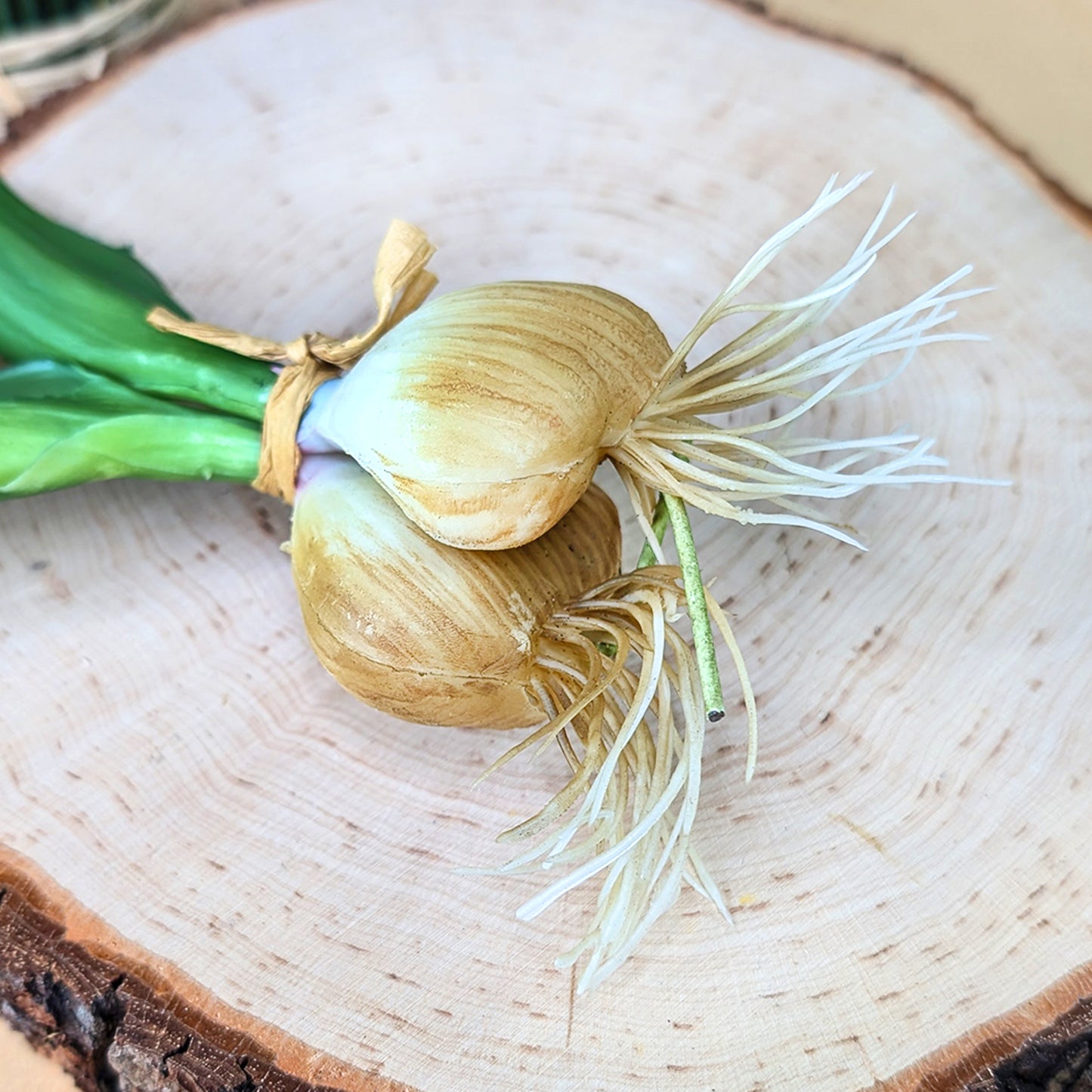 Nahaufnahme der weißen Zwiebel von der Seite