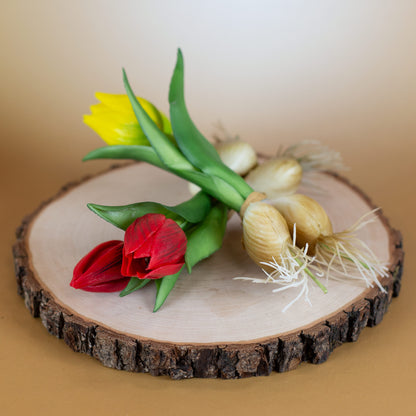 Beide Varianten (rot & gelb) übereinander auf einer Baumscheibe