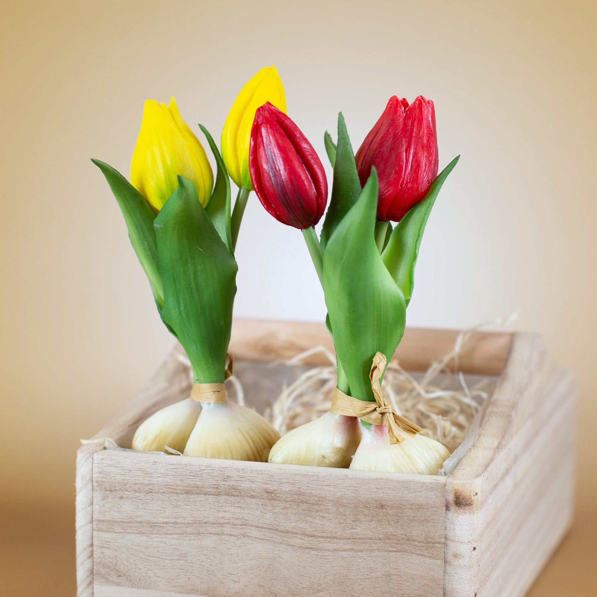 Beide Varianten (rot & gelb) nebeneinander in Holzkiste