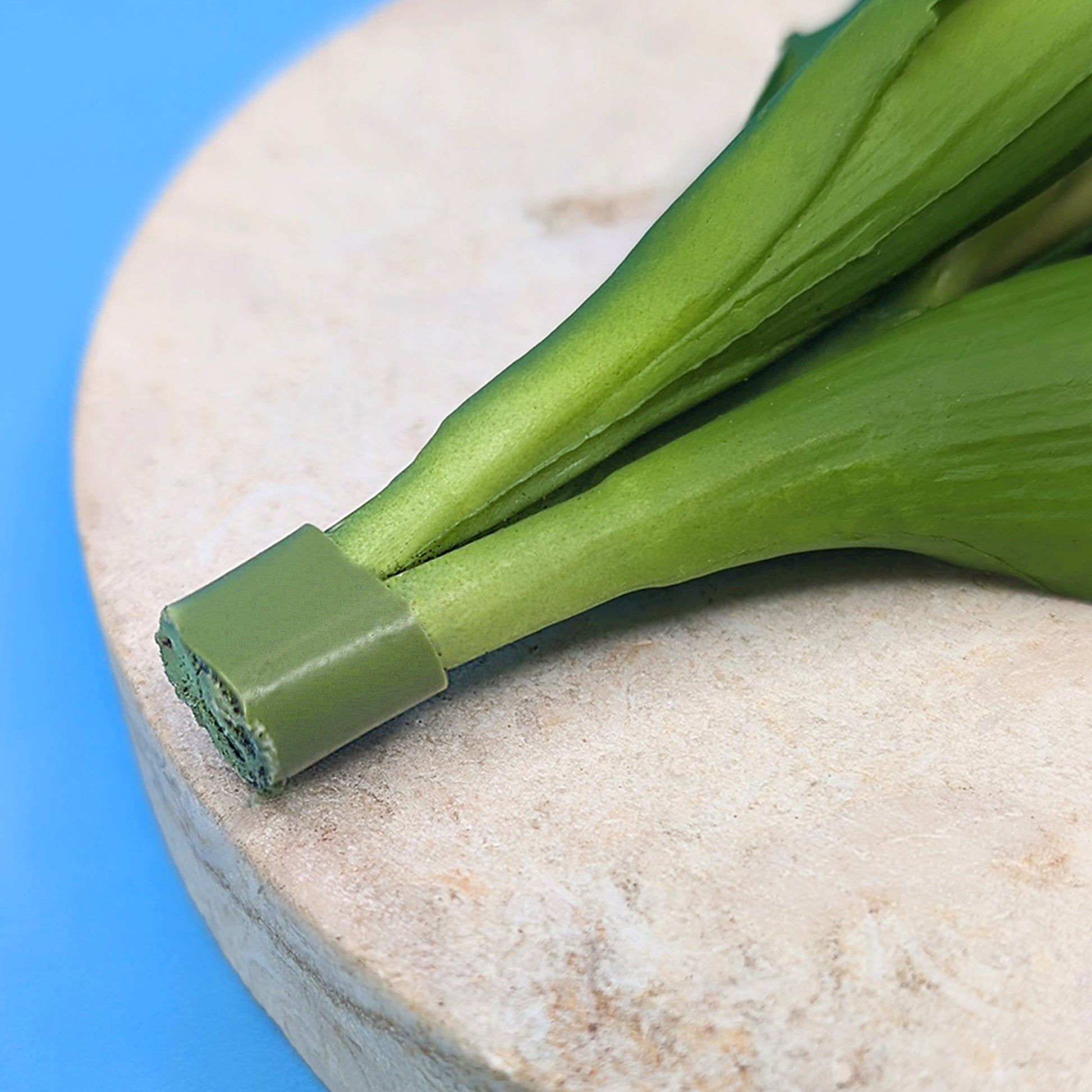 Nahaufnahme der Stiele mit Band