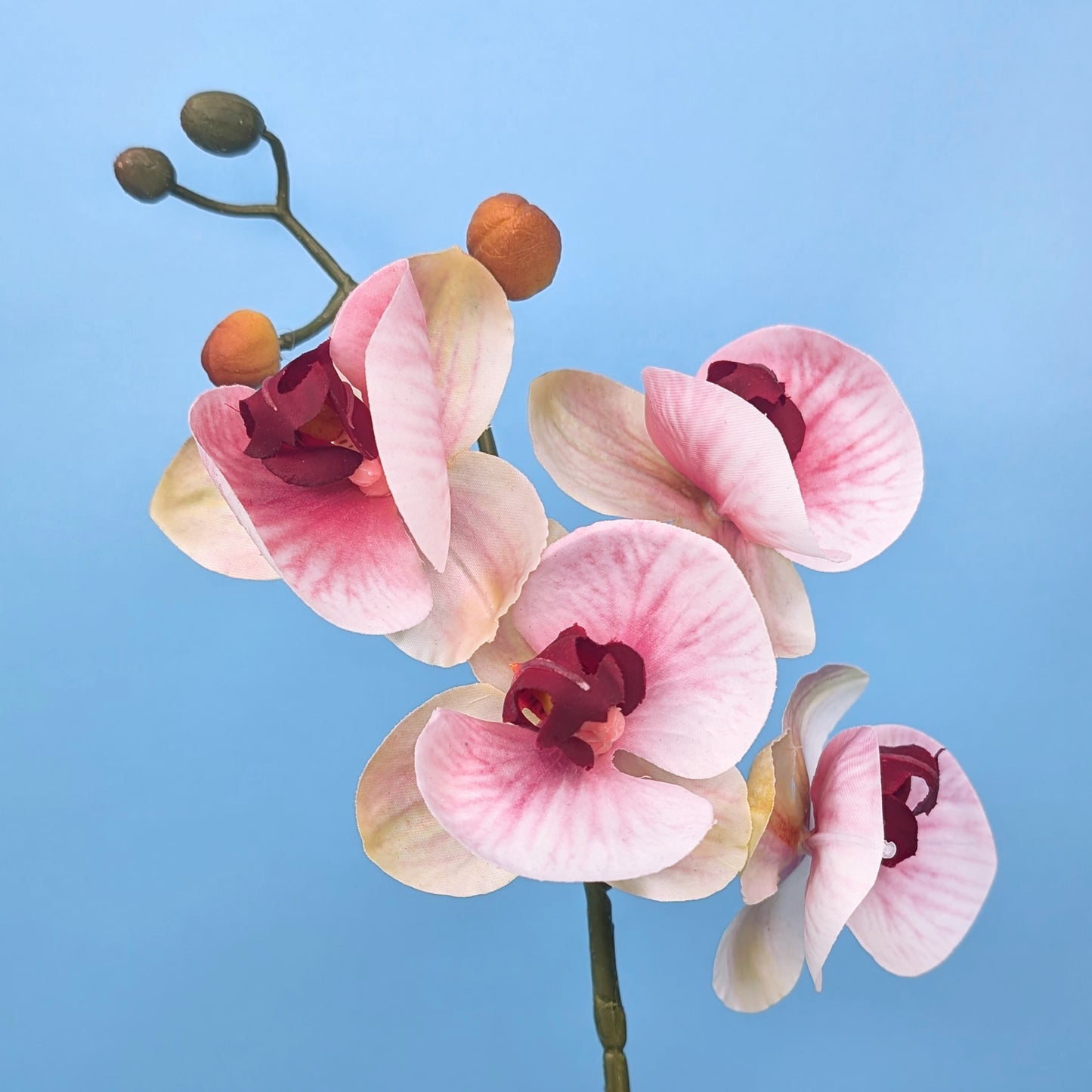 Seitenansicht der künstlichen Blüten der Orchidee