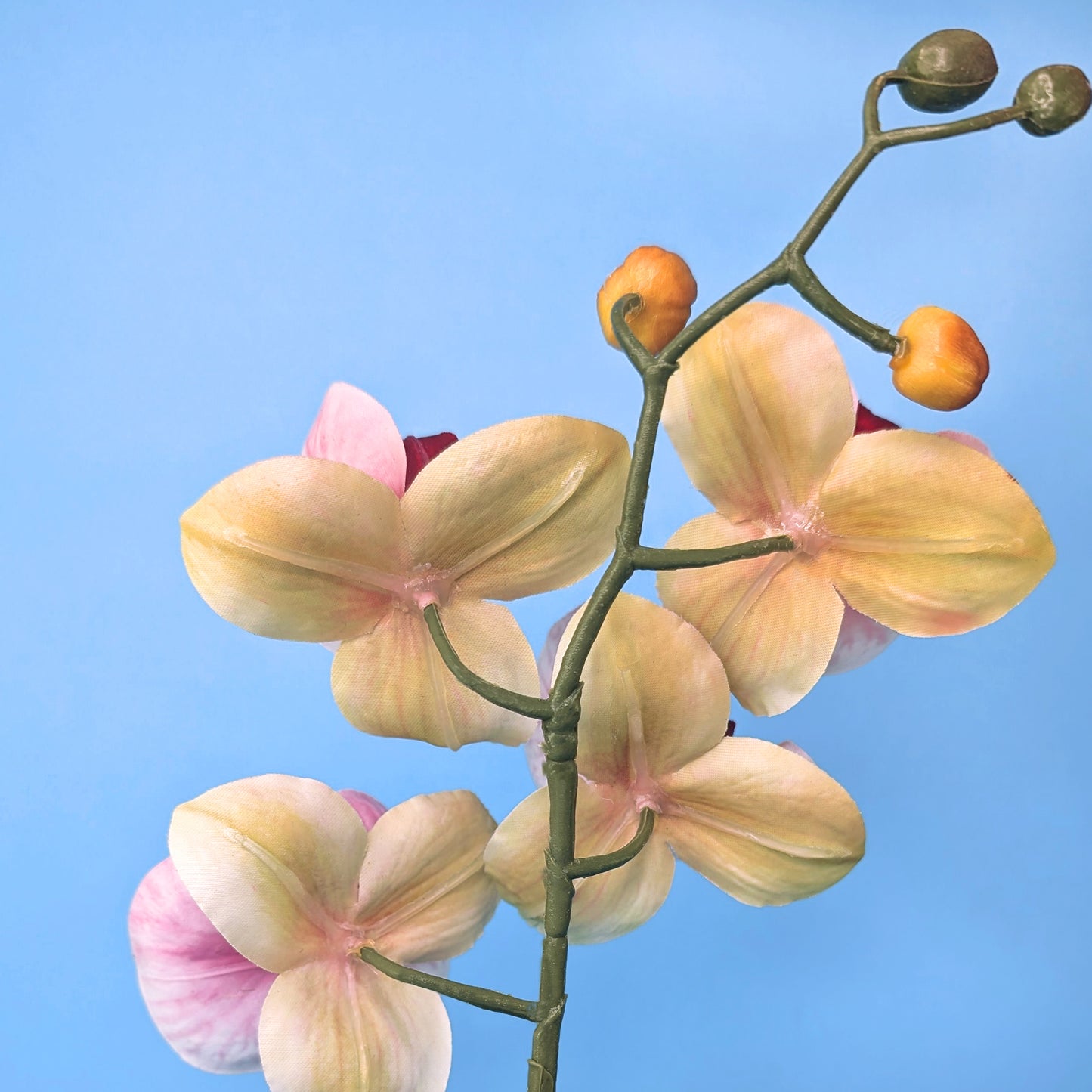 Rüchseite der künstlichen Blüten der Orchidee