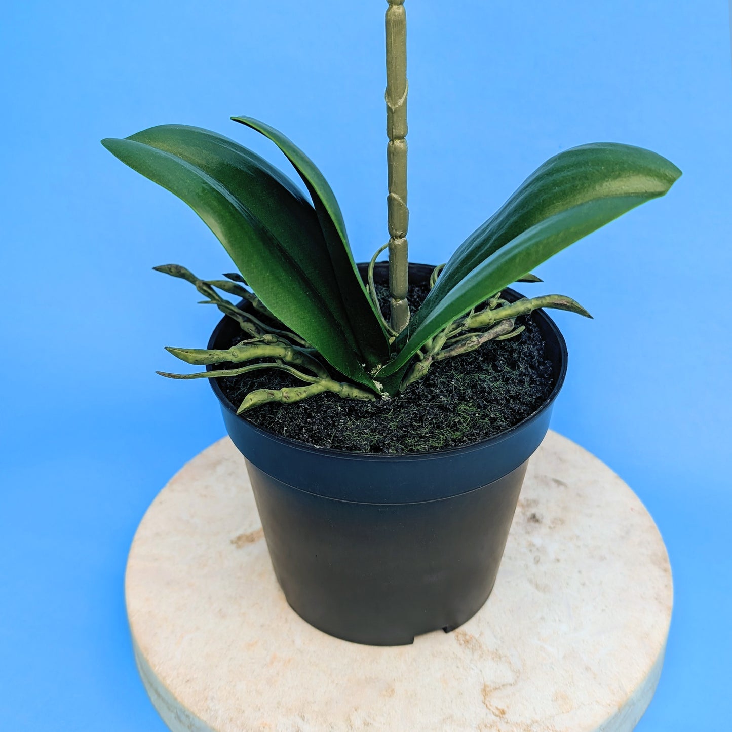 Detailansicht der grünen Blätter aus Kunststoff