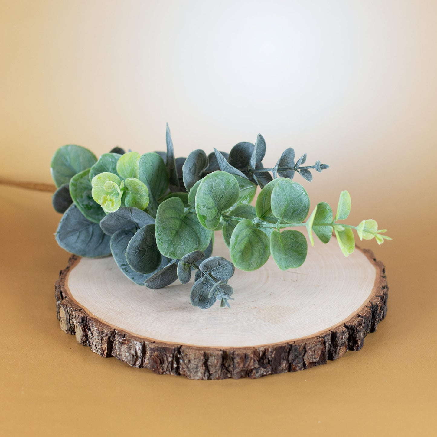 Künstlicher Eukalyptuszweig mit mattgrünen Blättern auf Baumscheibe arrangiert