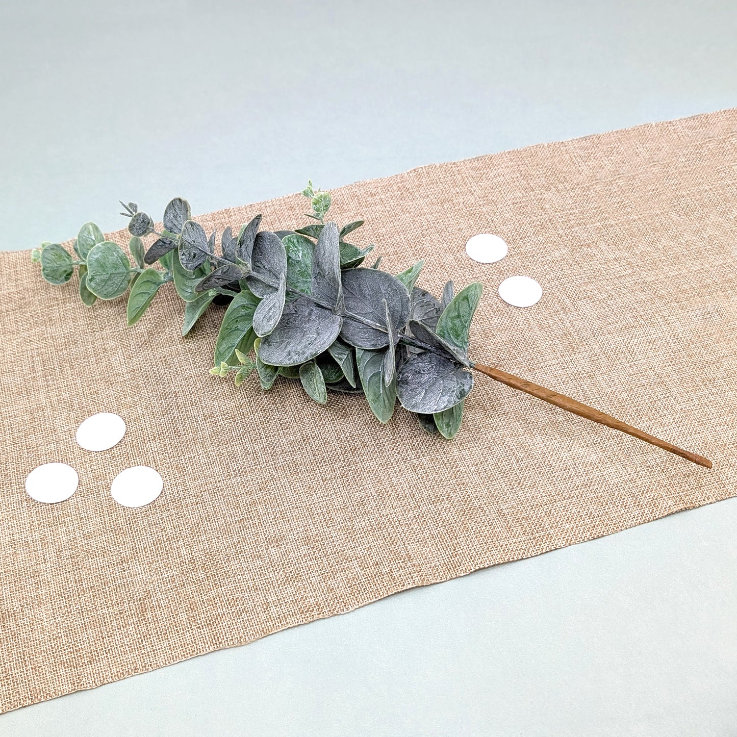 Eukalyptuszweig mit mattgrünen Blättern liegend dekoriert