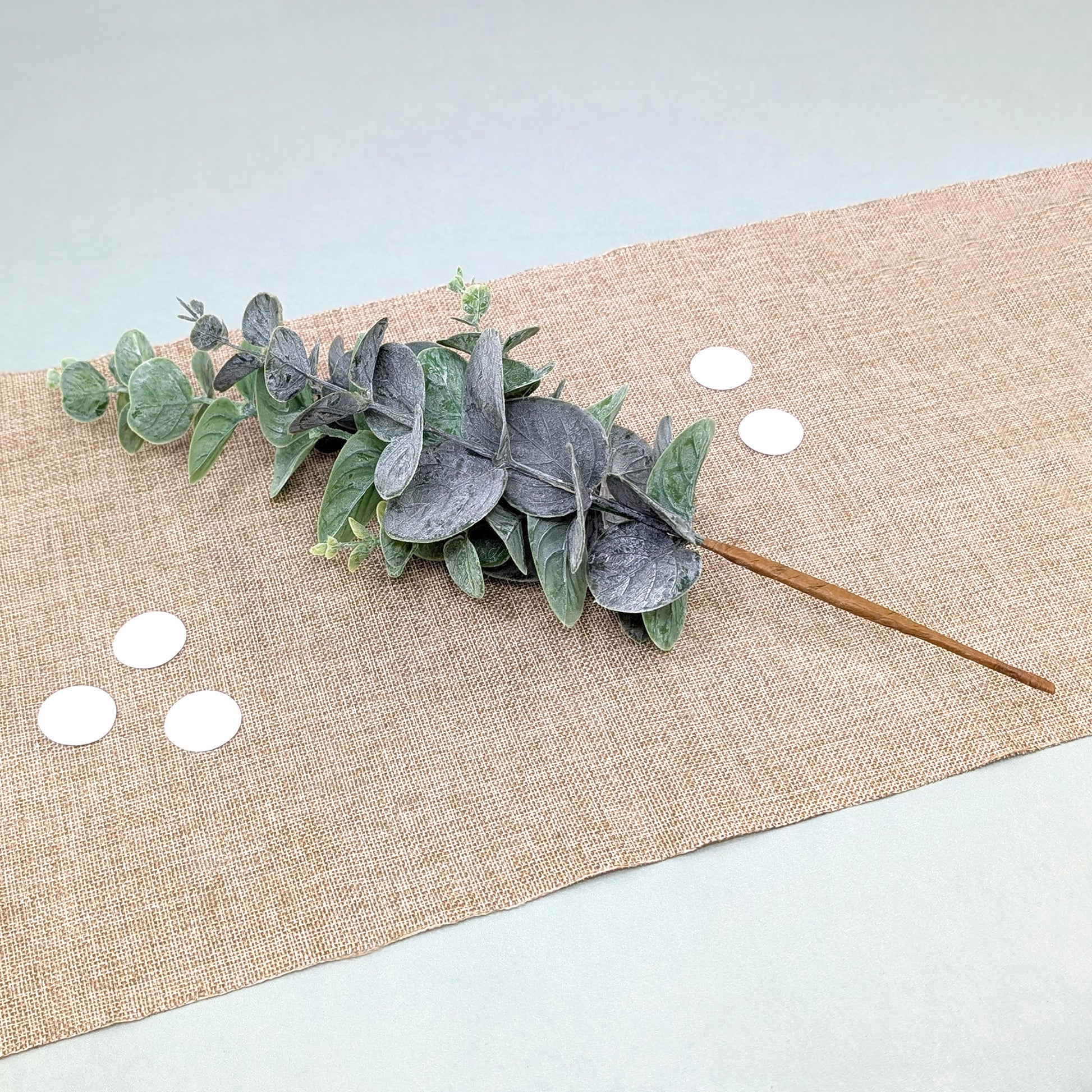 Eukalyptuszweig mit mattgrünen Blättern liegend dekoriert