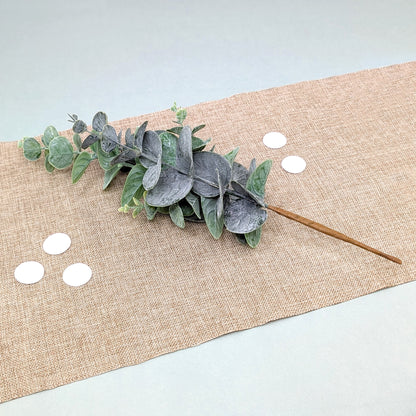 Eukalyptuszweig mit mattgrünen Blättern liegend dekoriert