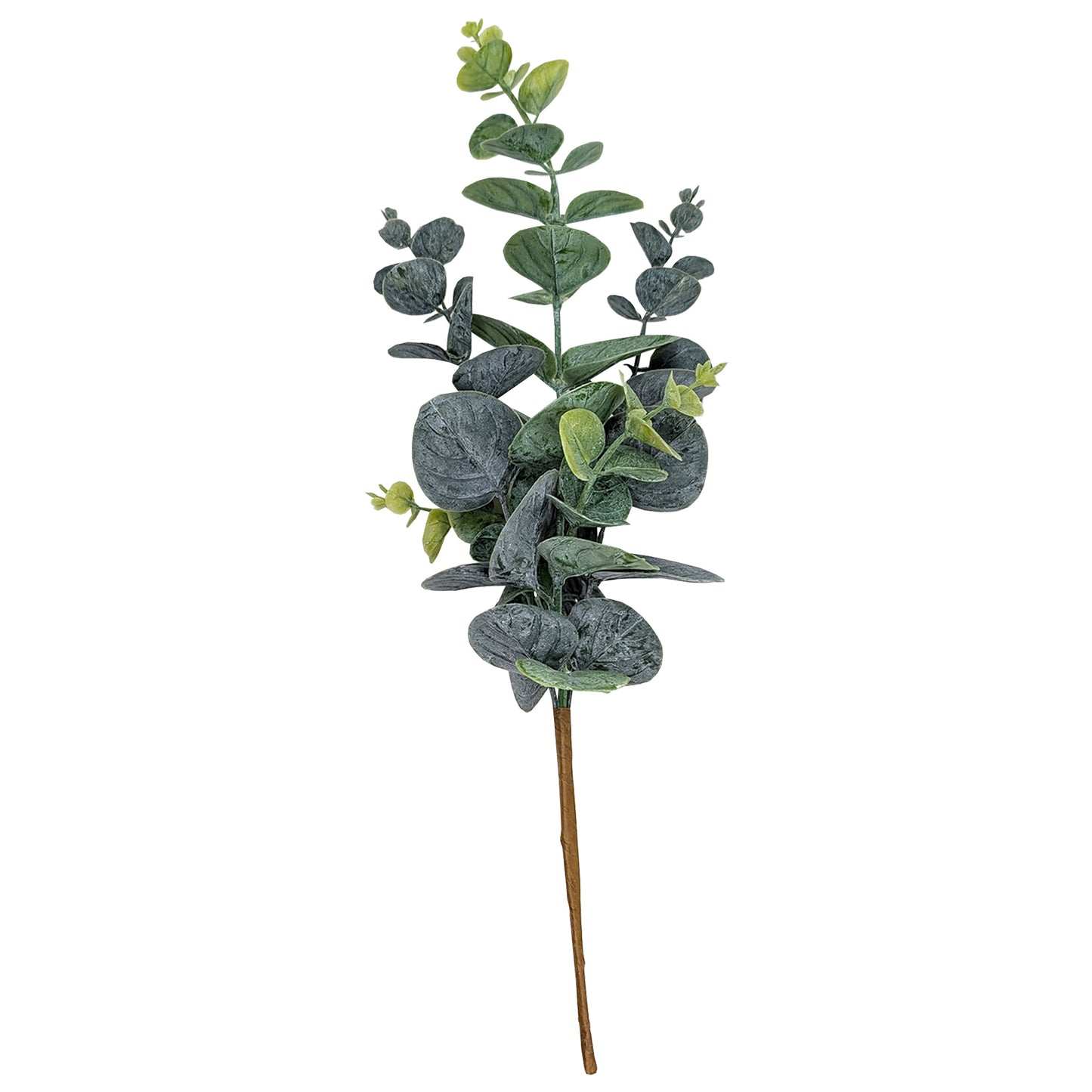 Freigestellter künstlicher Eukalyptus Zweig auf weißem Hintergrund