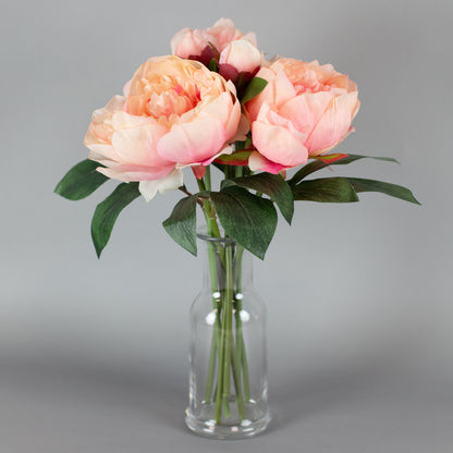 Pfingstrosenstrauß in Vase platziert