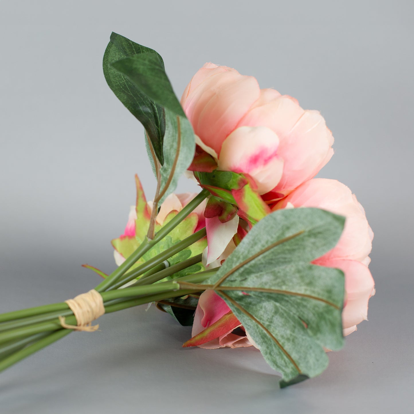 Seitenansicht mit Fokus auf die Stiele und Blattstruktur