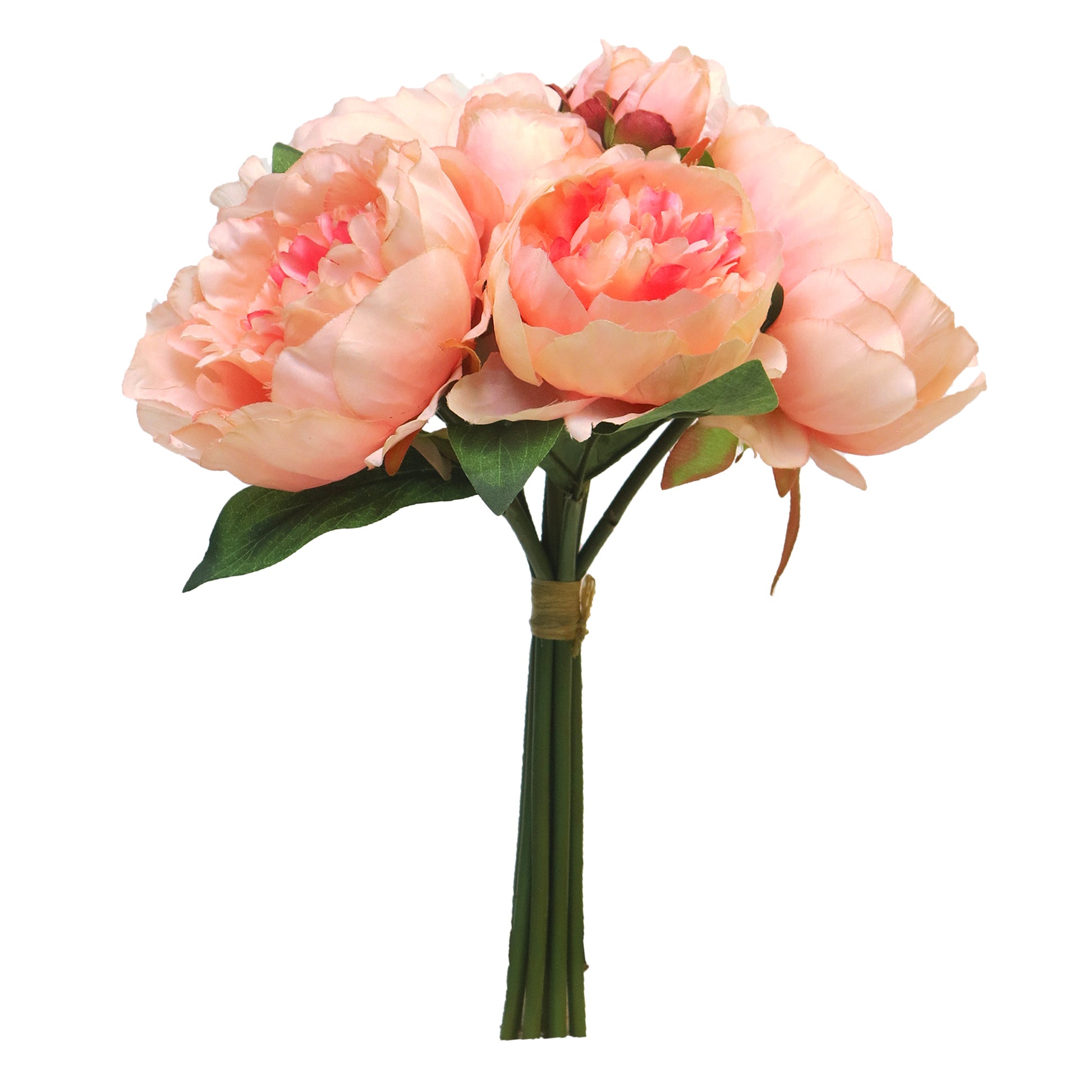 Freigestelltes Bild des Straußes auf weißem Hintergrund