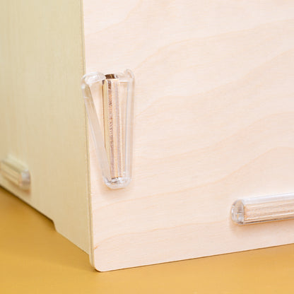 Nahaufnahme der transparenten clipfritz®-Klammern, die die Birke-Multiplex-Platten stabil und werkzeuglos verbinden