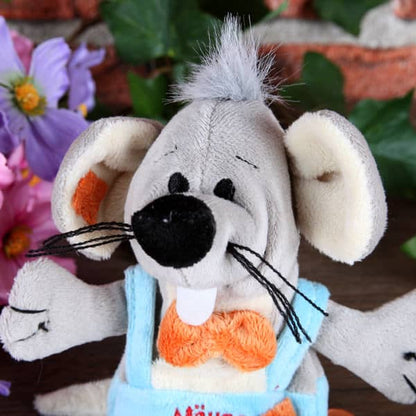 Kleine Plüschmaus als Geldgeschenk