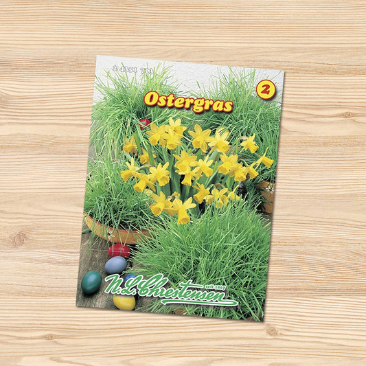Chrestensen Samen | Ostergras