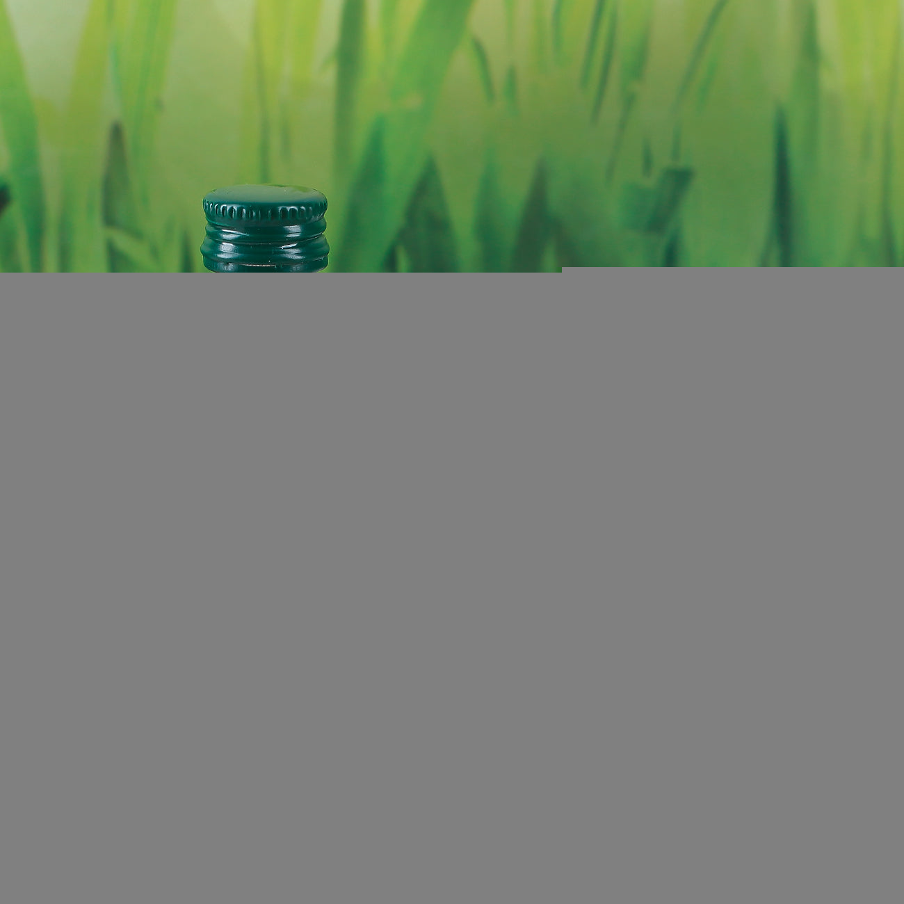 Wichtel-Willi´s Dünge-Mittel