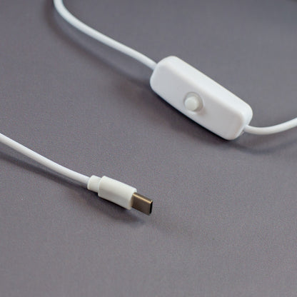 Nahaufnahme des Kabel mit Schalter und Anschluss