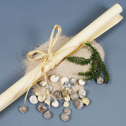 Inhalt der Flaschenpost samt Sand, Muscheln, Grün und Papier