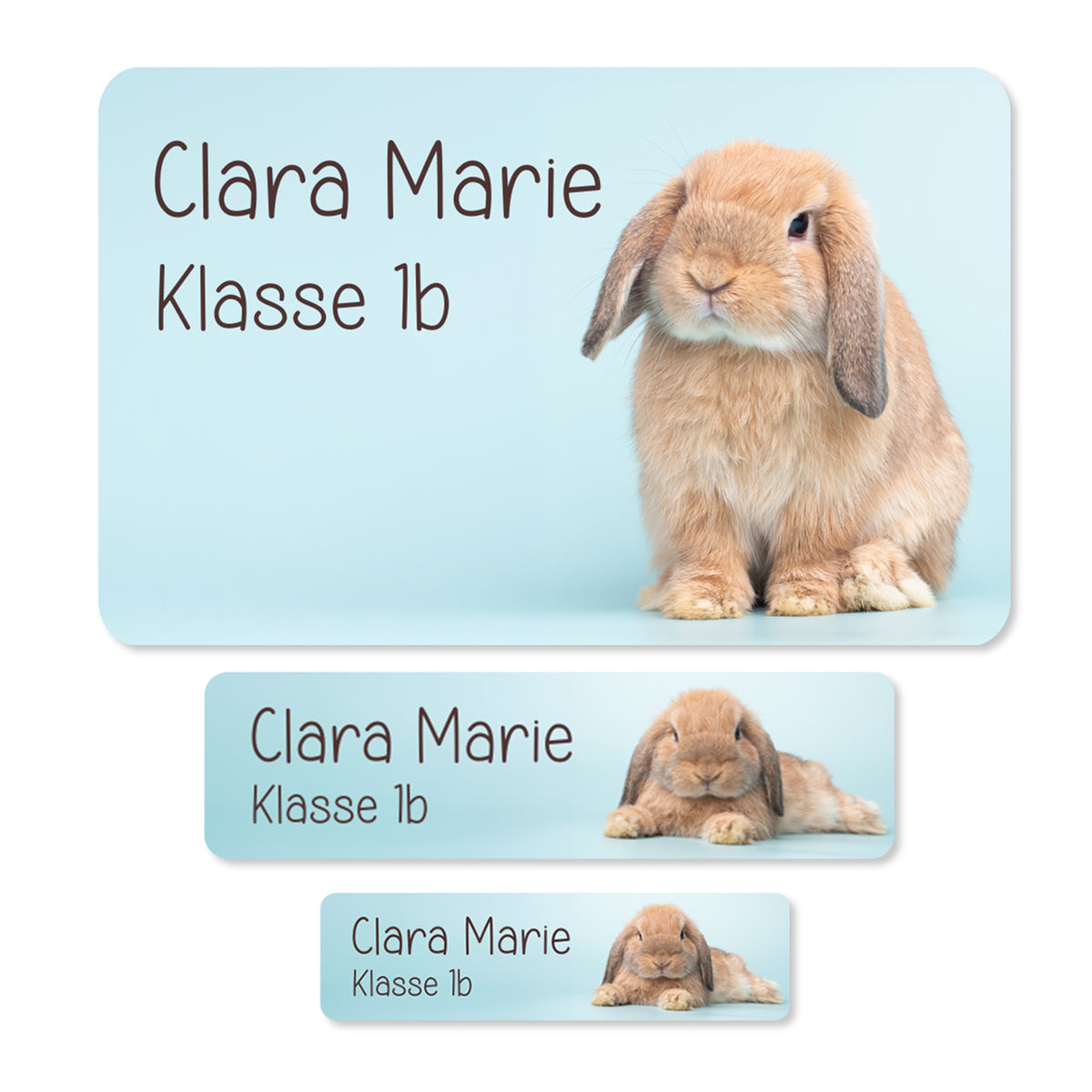 Übersicht der drei Aufklebergrößen mit Wunschtext Clara Marie Klasse 1b und braunem Kaninchen auf hellblauem Hintergrund