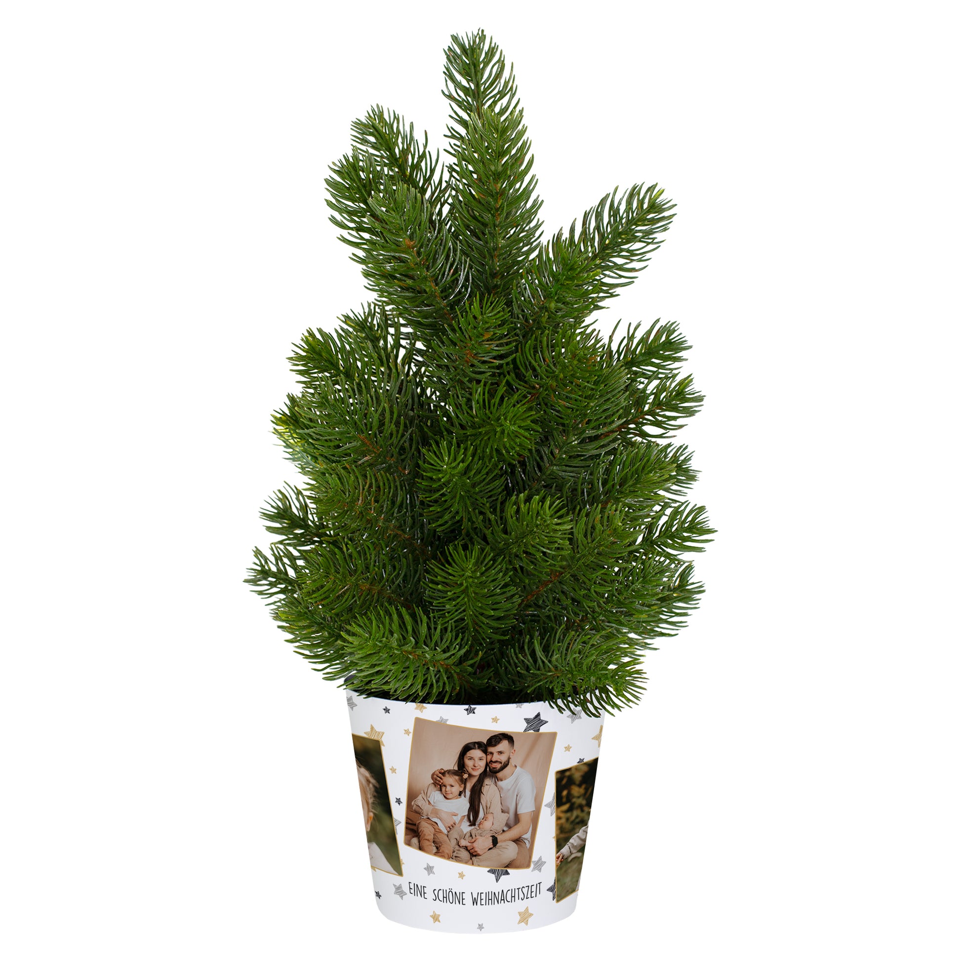 Mini-Weihnachtsbaum mit individueller Foto-Banderole – nachhaltige und persönliche Geschenkidee zu Weihnachten