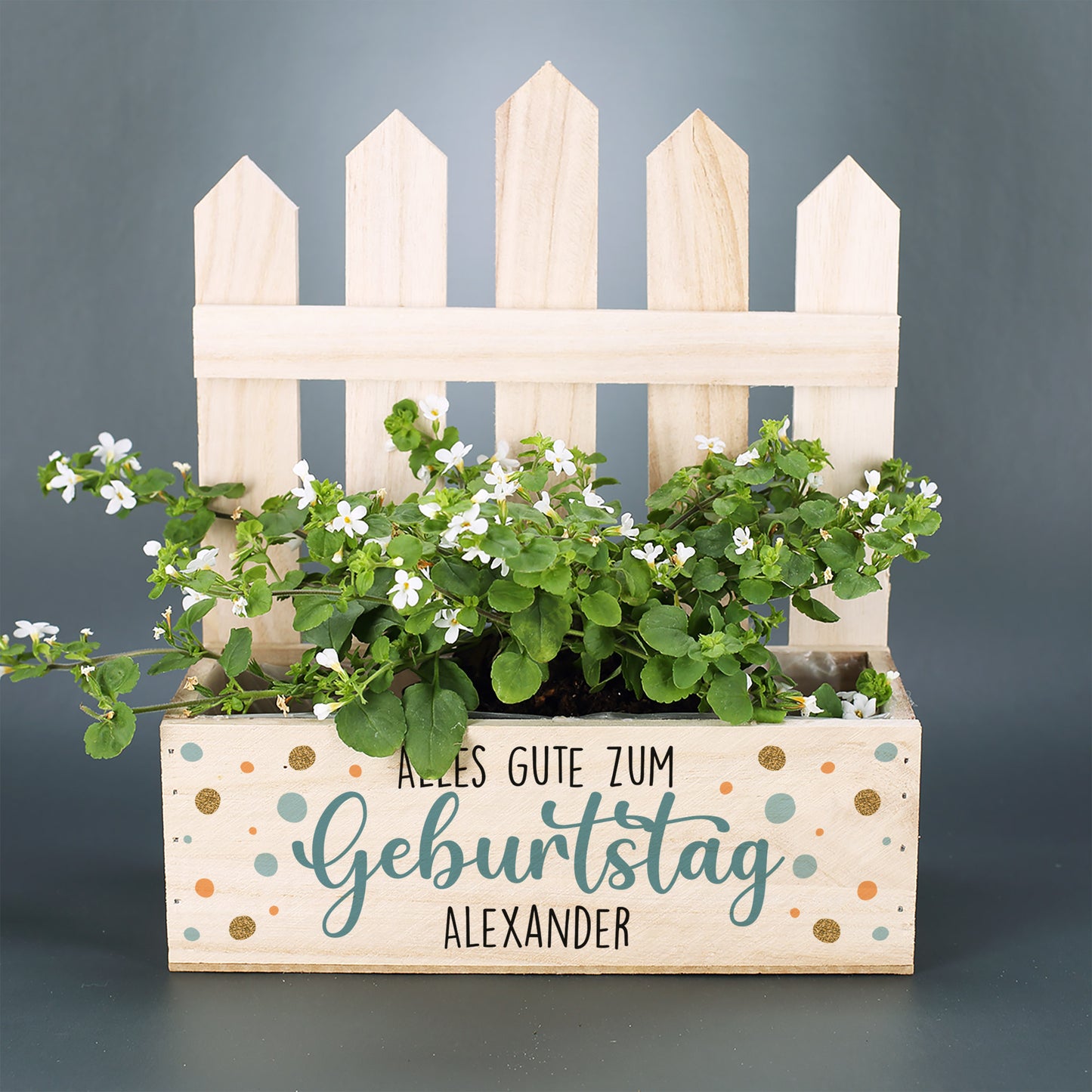 Pflanzkorb zum Geburtstag mit Name personalisiert - DIY Geschenk zum Geburtstag